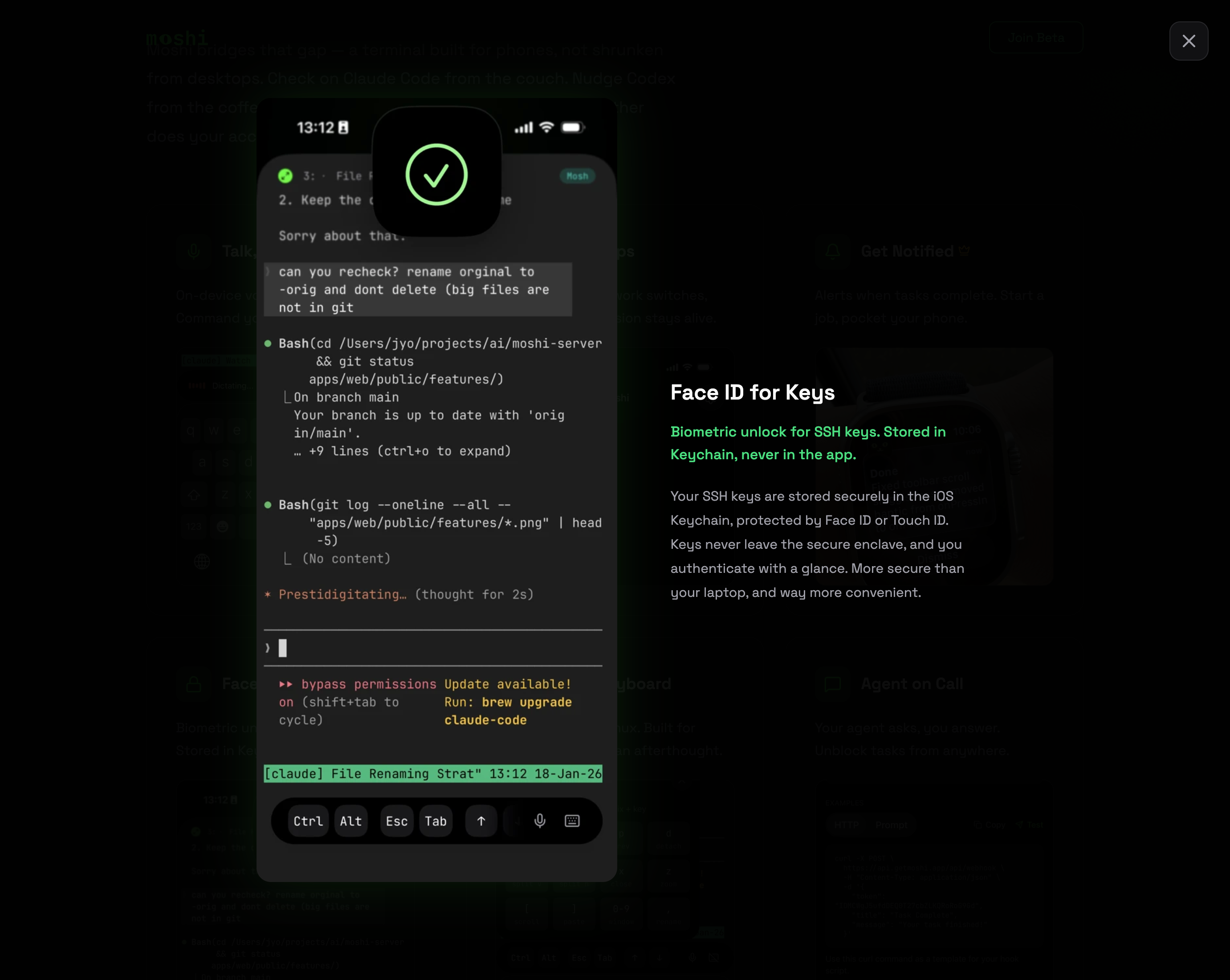 Moshi - Screenshot 5 showing product features and functionality