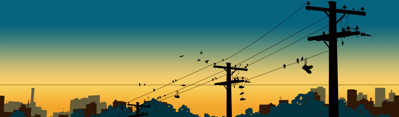 Peter Schroeder cover