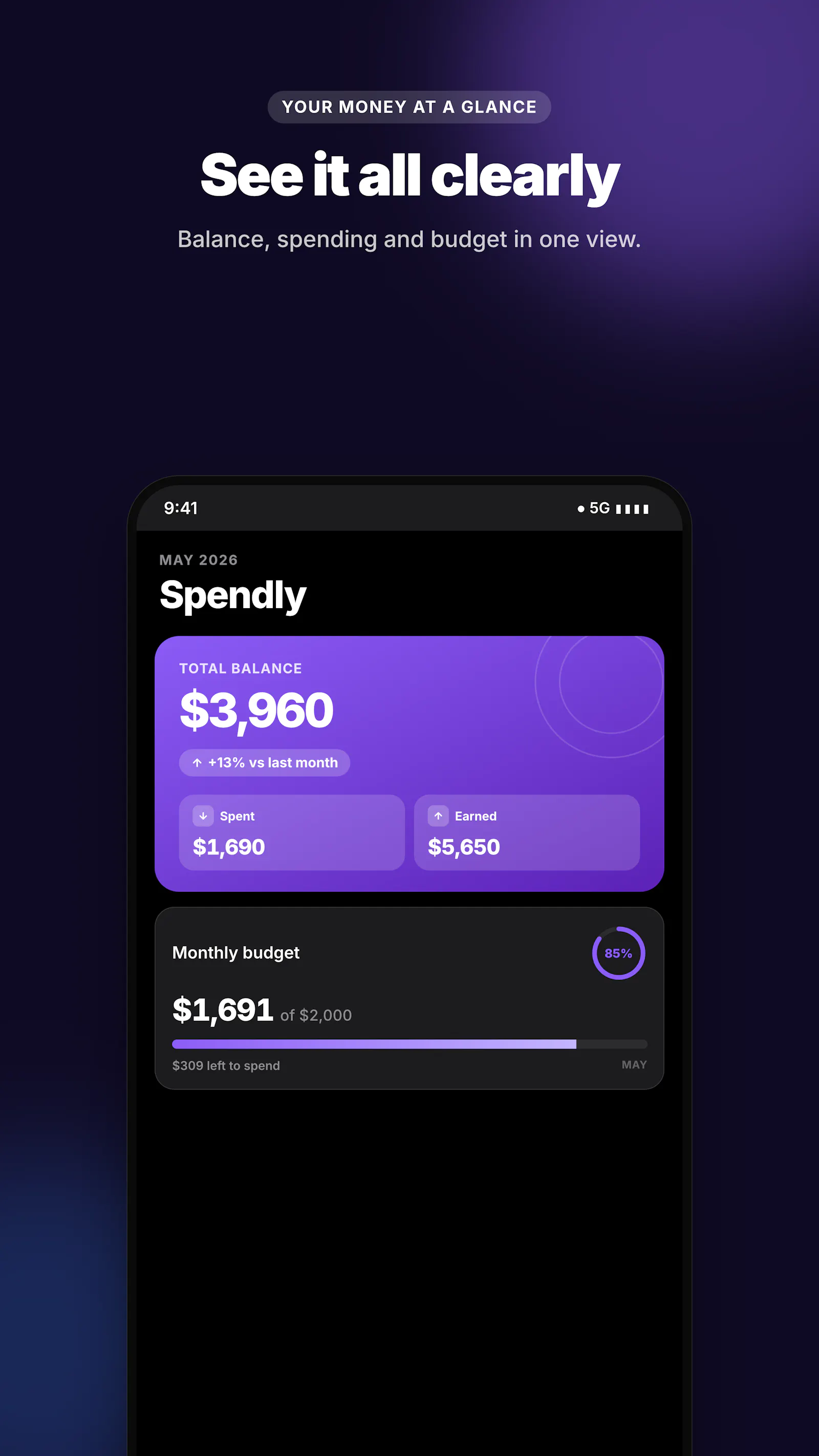 Spendly screenshot 3