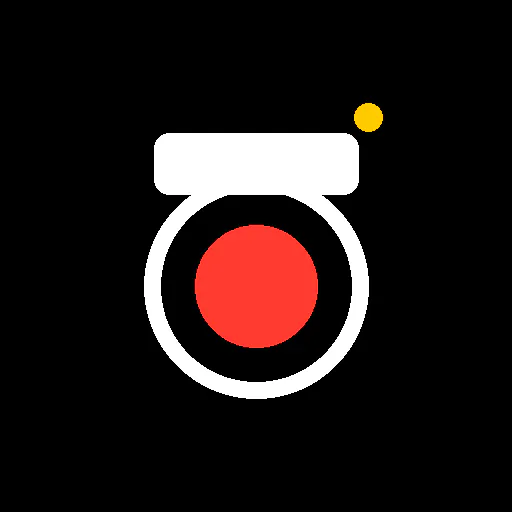 Real Seelfie App
