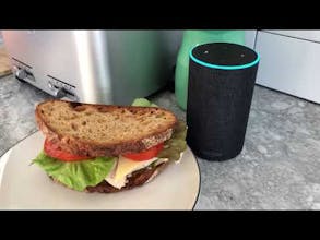 Gordon Ramsay on Alexa gallery image
