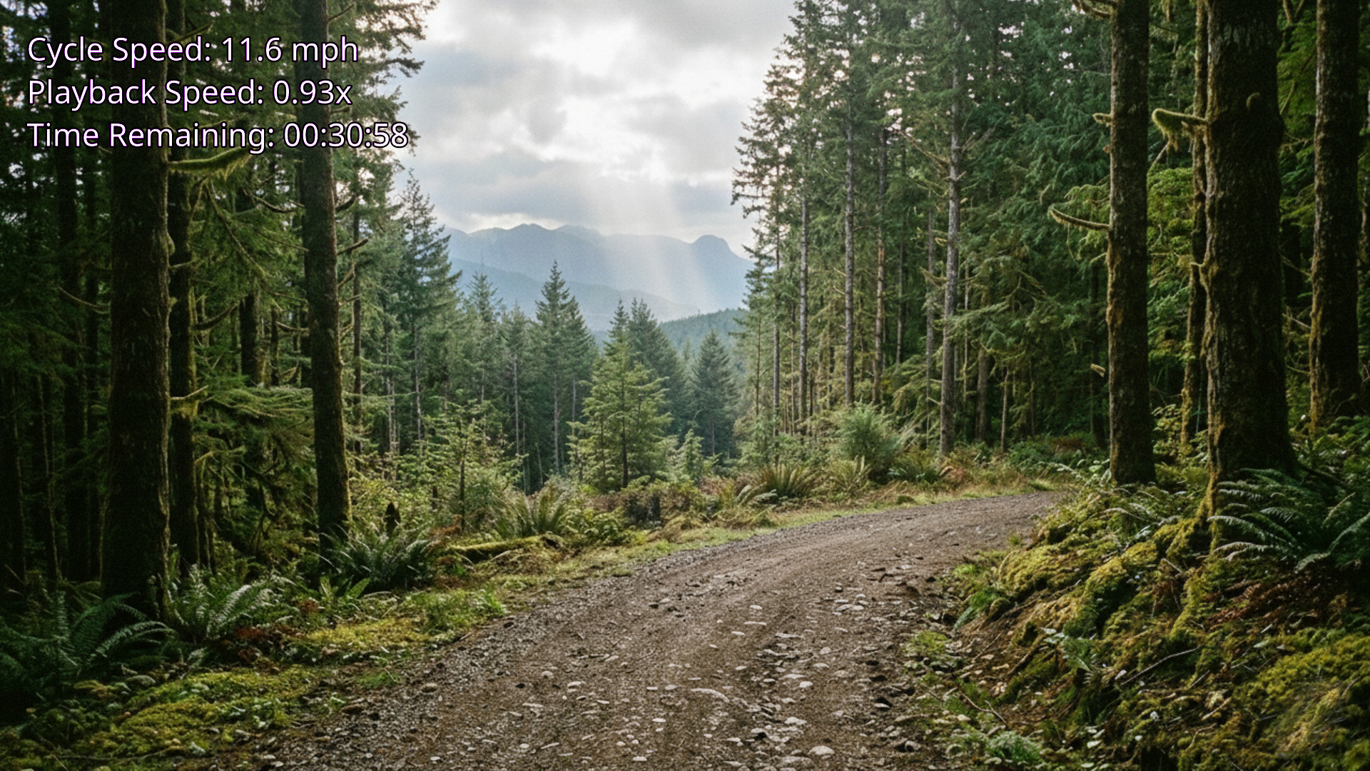 BLE Sync Cycle (BSC) gallery image