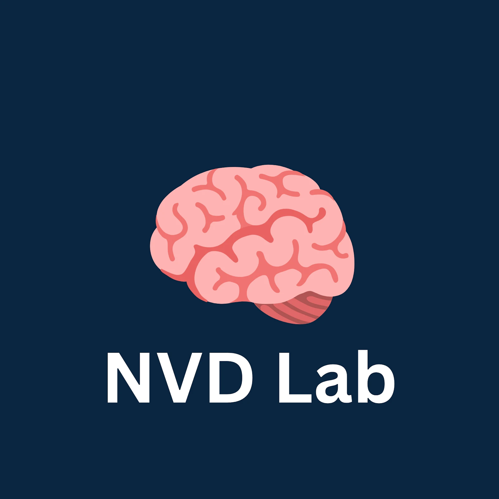 Neurovascular Dynamic Lab screenshot 2