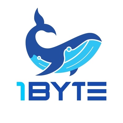 1Byte