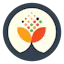 Simsy.io- Startups & Innovation Platform