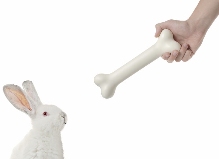 RabbutFacts gallery image