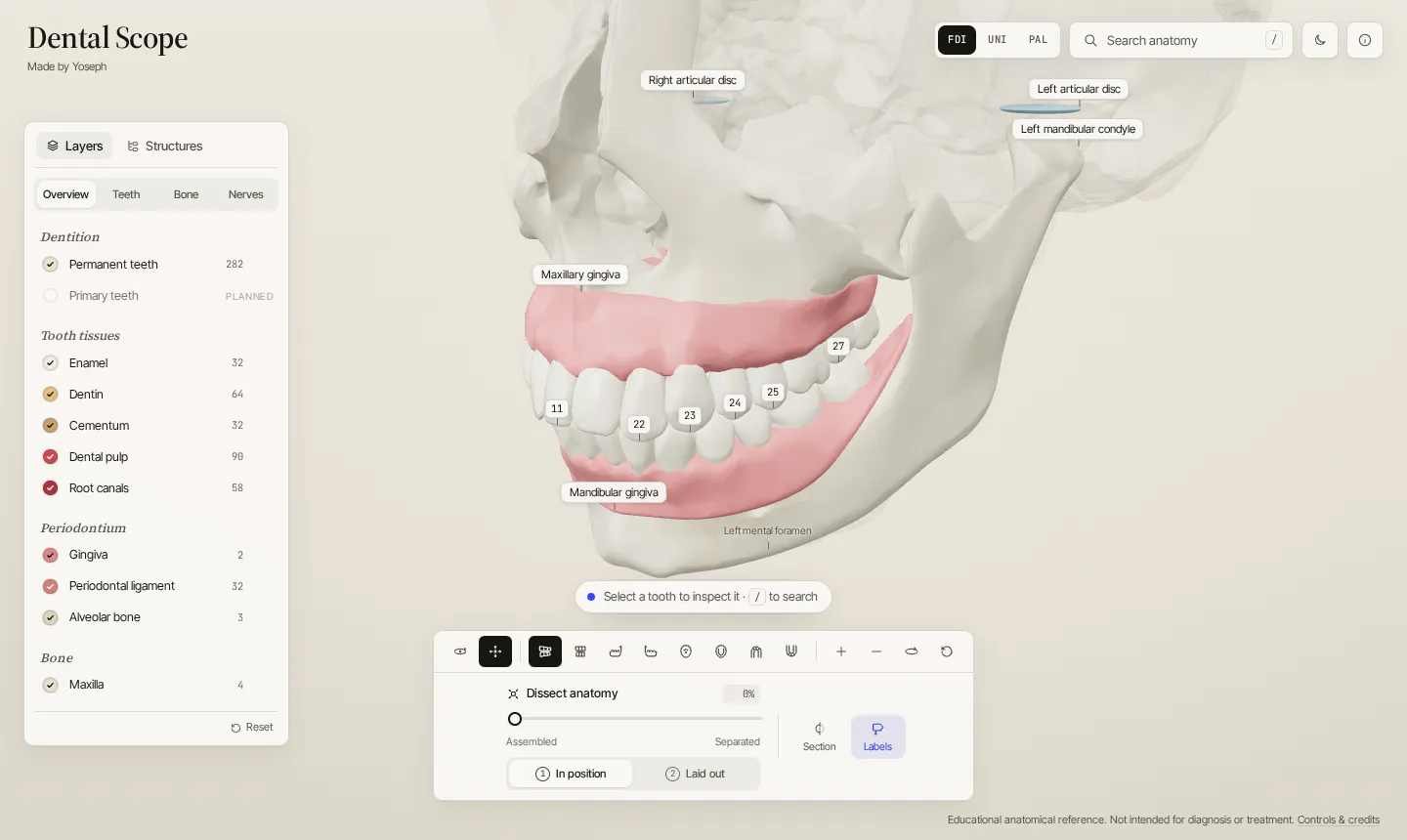 Dental Scope gallery image
