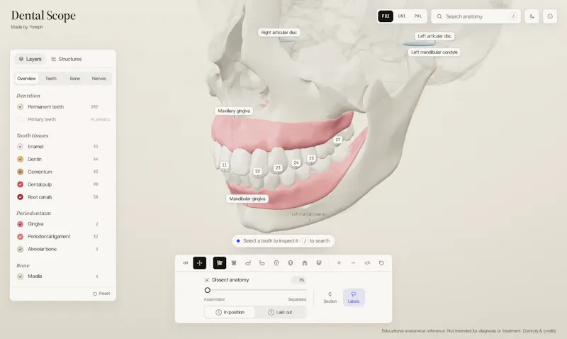 Dental Scope screenshot 4