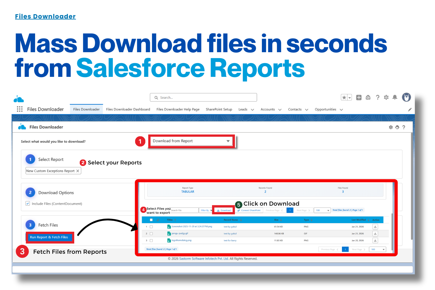 File Downloader gallery image