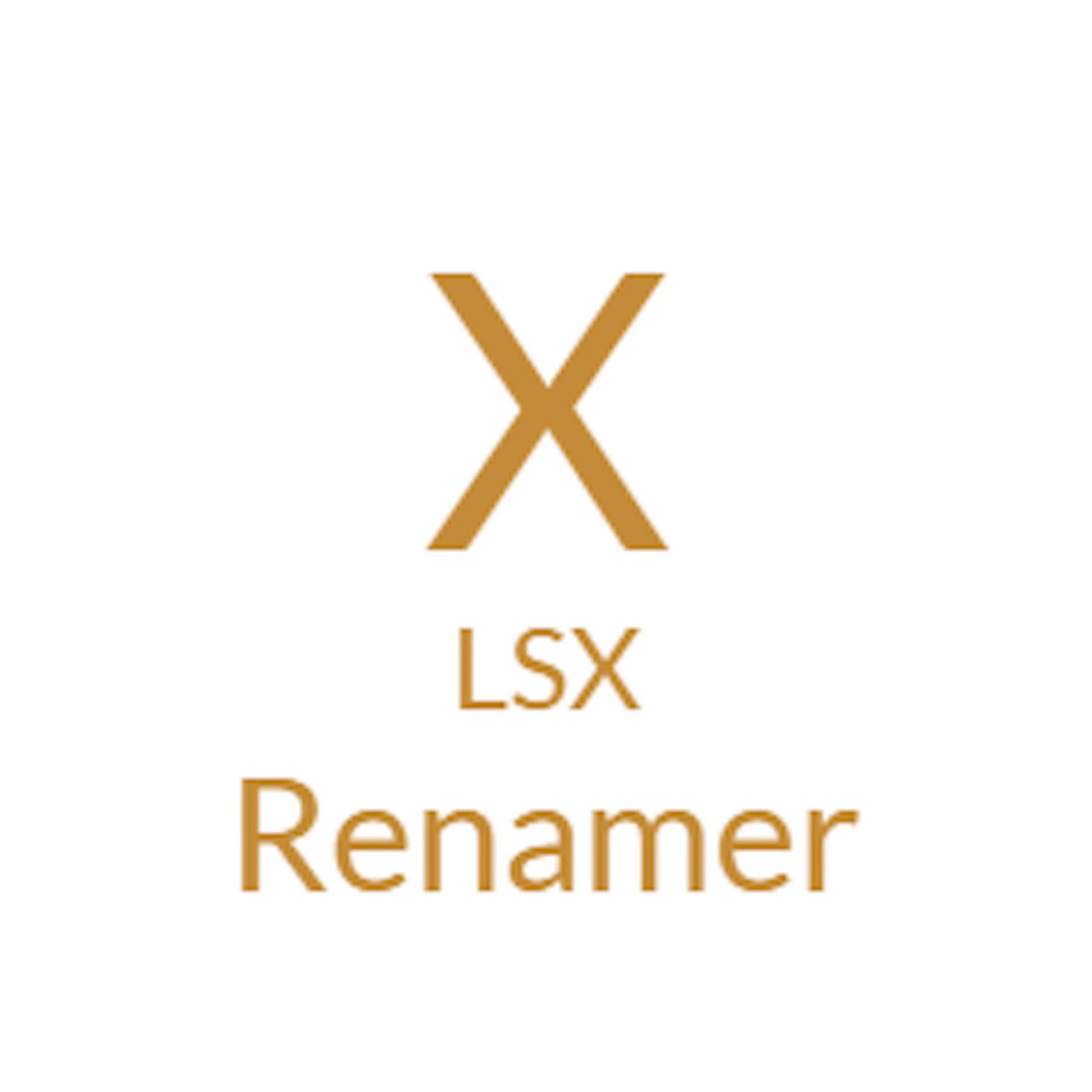 XlsxRenamer screenshot 1