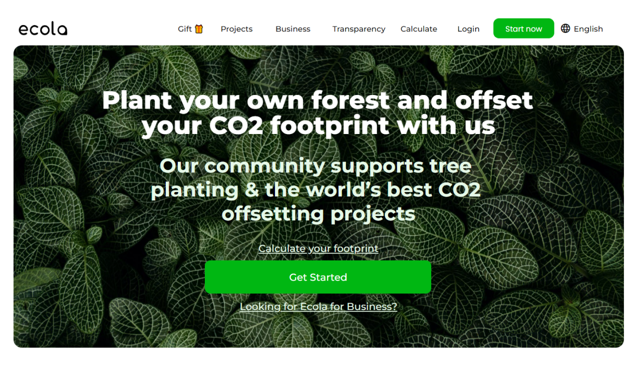 ecola.io media 8