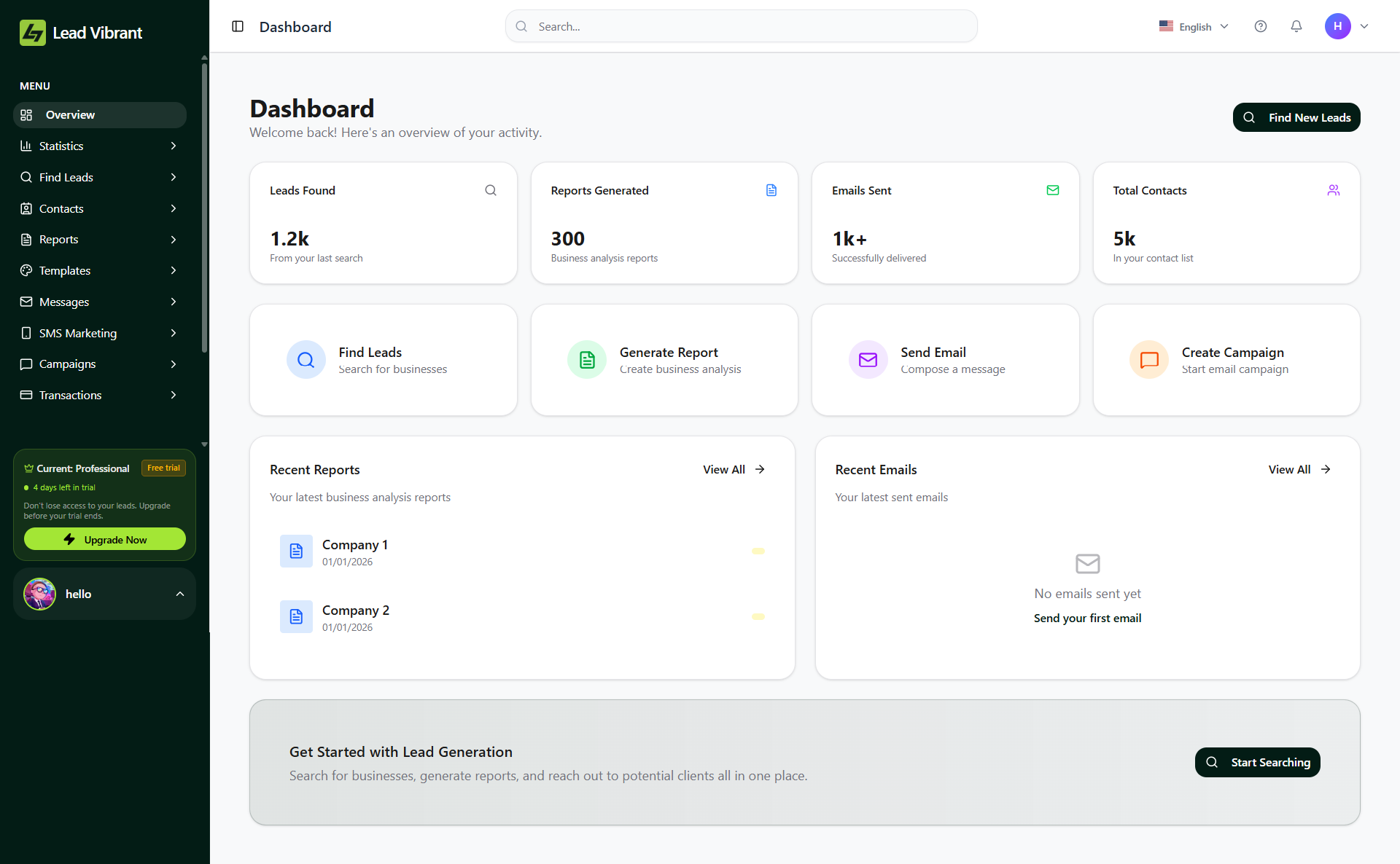 Lead Vibrant gallery image