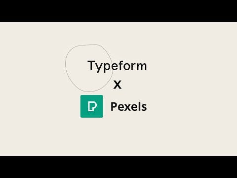Pexels Videos for Typeform media 1