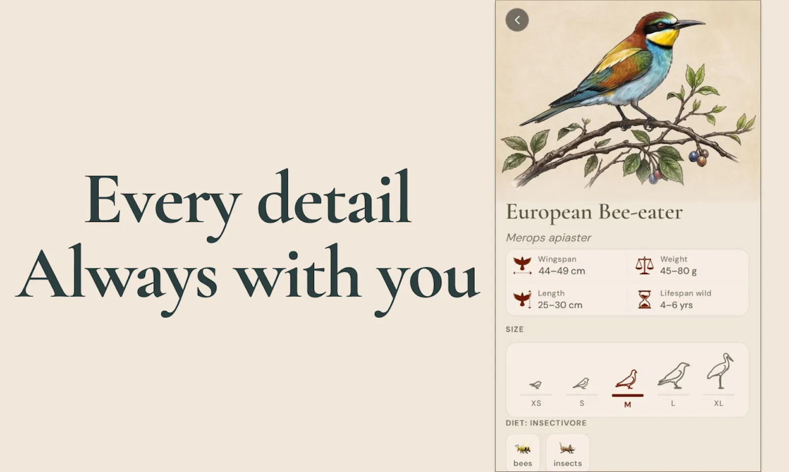 Aves ID - Bird Identifier for Europe screenshot 4