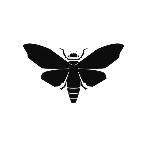 Cicada