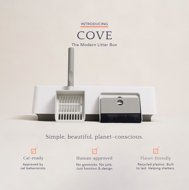 Creepily Realistic 3D Cats gallery image