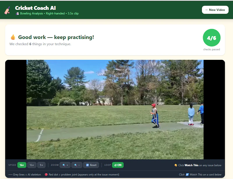 Cricket Coach AI screenshot 2