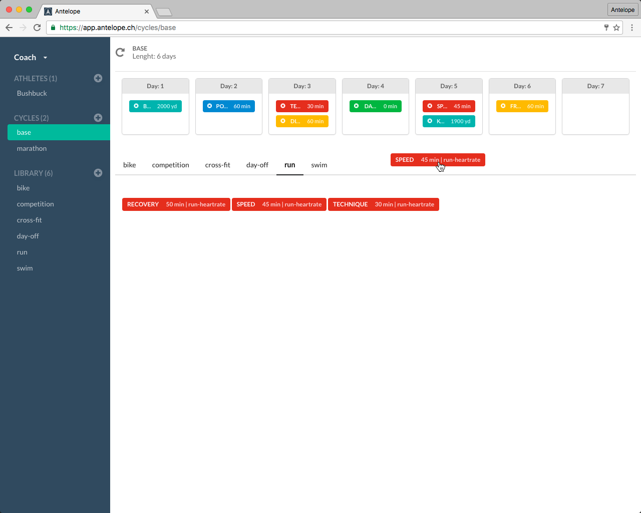 Antelope gallery image