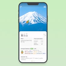Lingosnap! gallery image