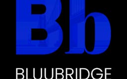 Bluubridge media 3