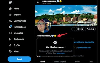 Who Twitter Blue gallery image