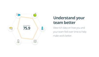 Motivii gallery image