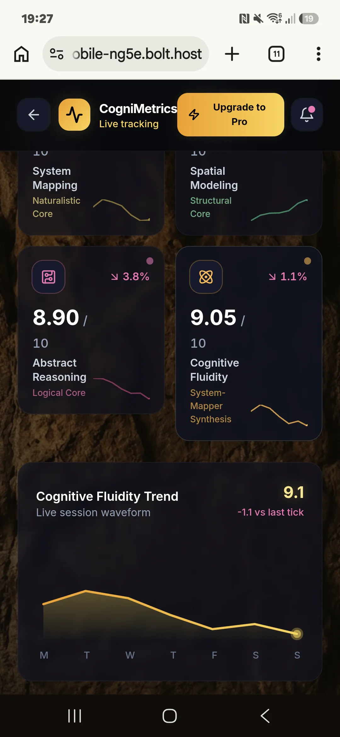 CogniMetrics gallery image