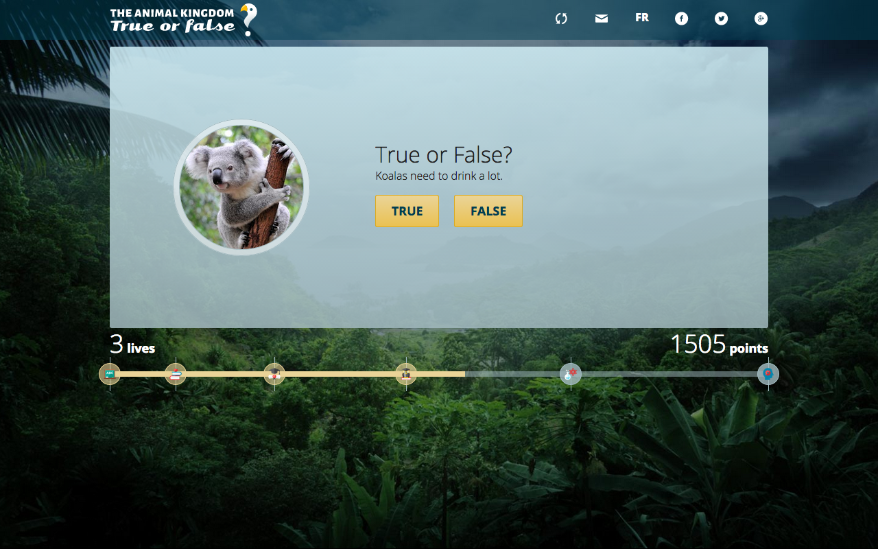 Animals True or False gallery image