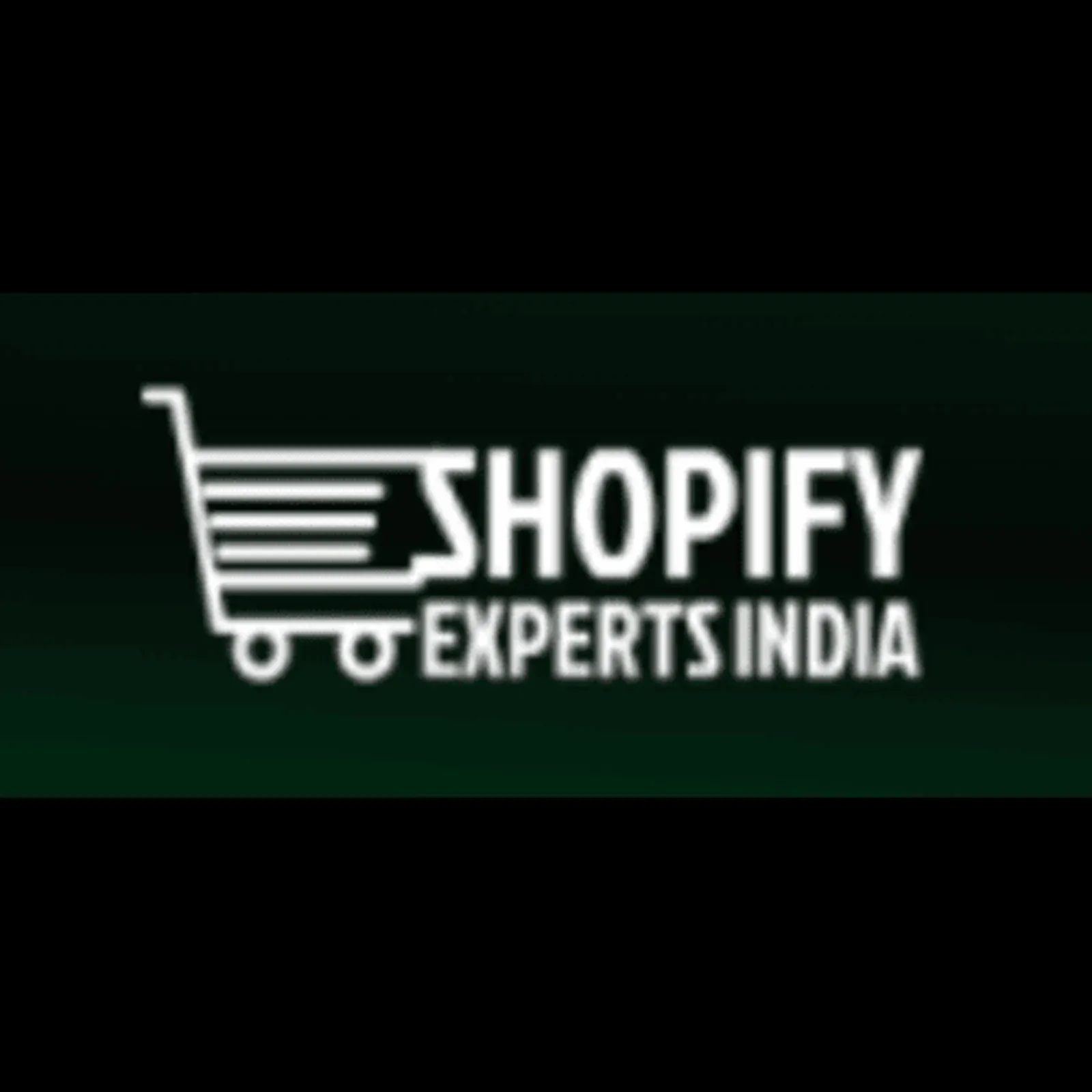 Shopify Experts India screenshot 1