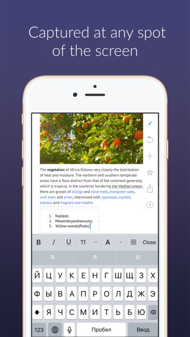 Outline for iPhone gallery image