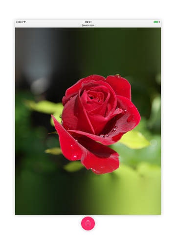 Tap2Share gallery image