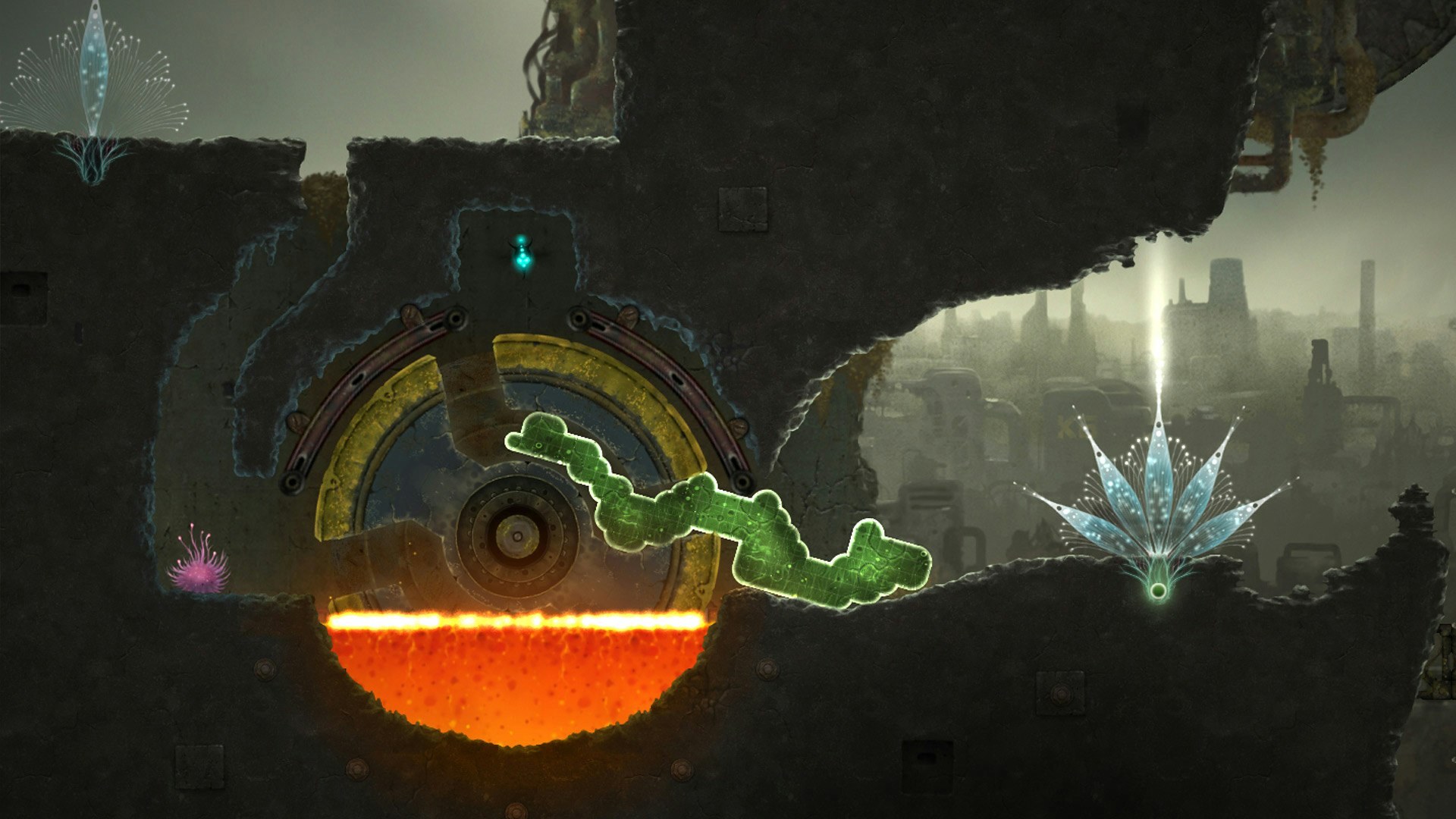 Mushroom 11 gallery image