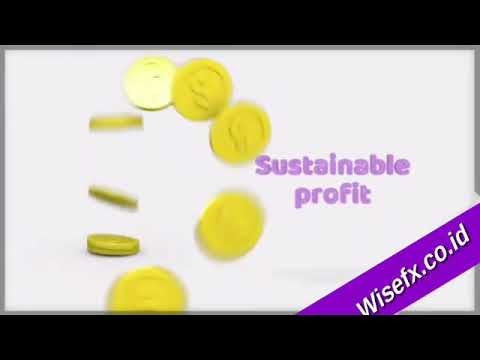 Wisefx Automatic Trading System gallery image