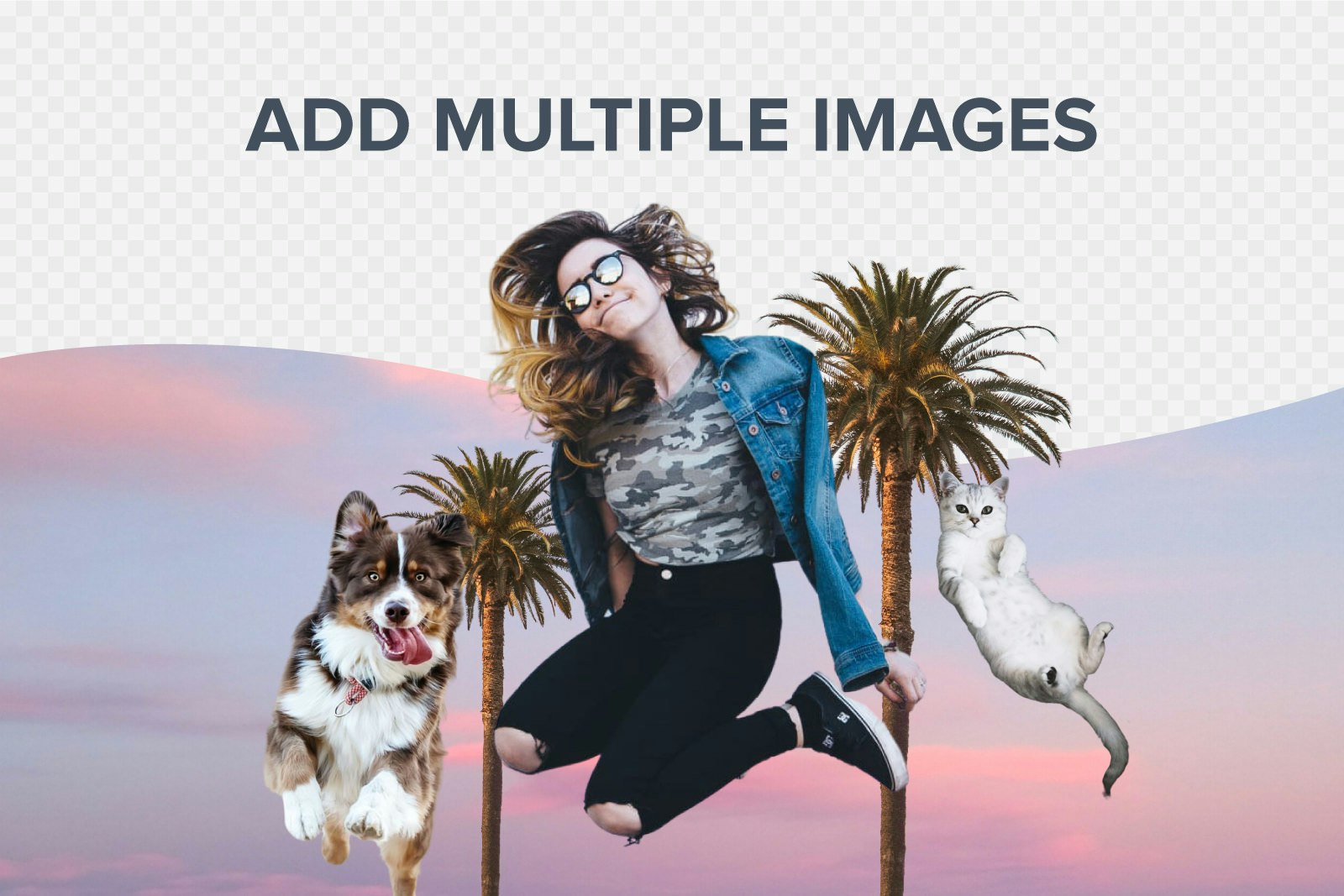 Trace 2.0 by Sticker Mule gallery image