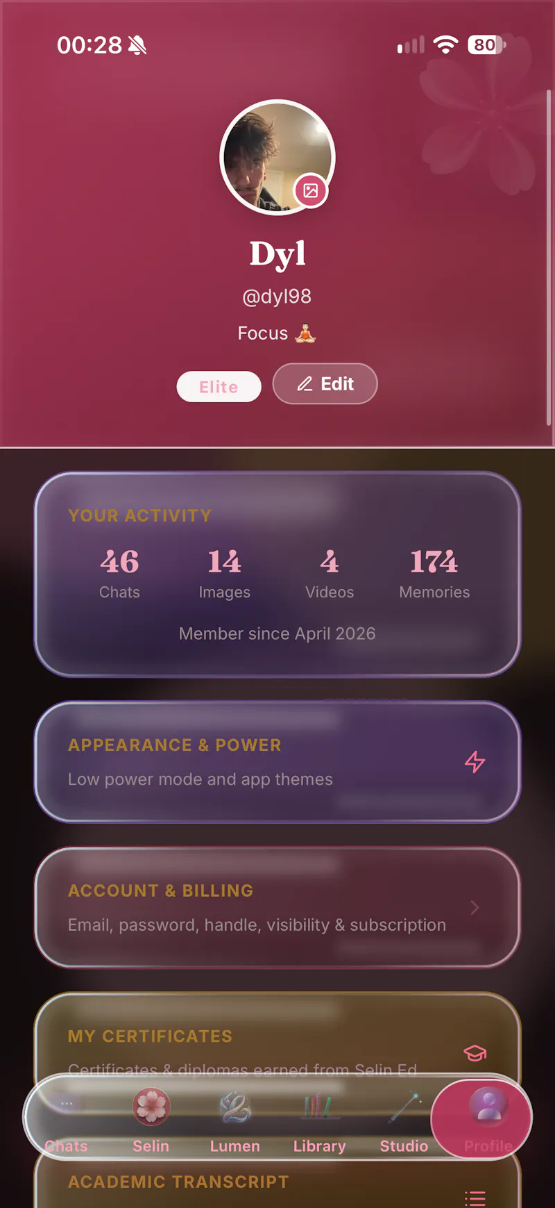 Selin AI screenshot 8