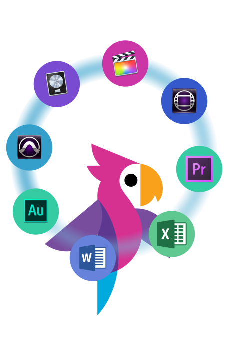 Simon Says gallery image