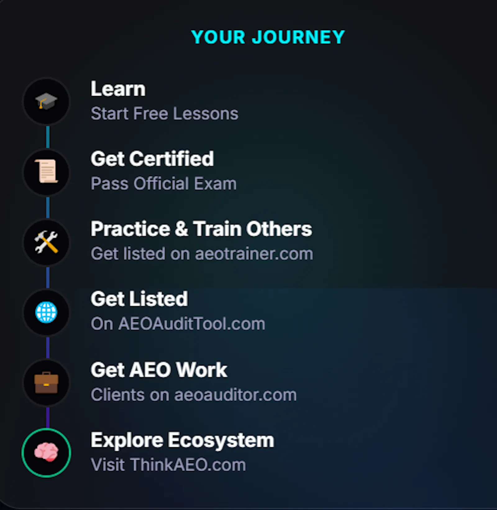 AEO Institute screenshot 4