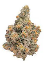 frosting strain gallery image