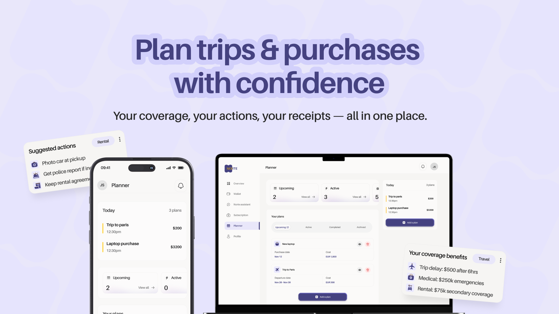 Norte — Your wallet’s benefits brain gallery image