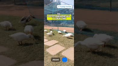 TrueSign gallery image