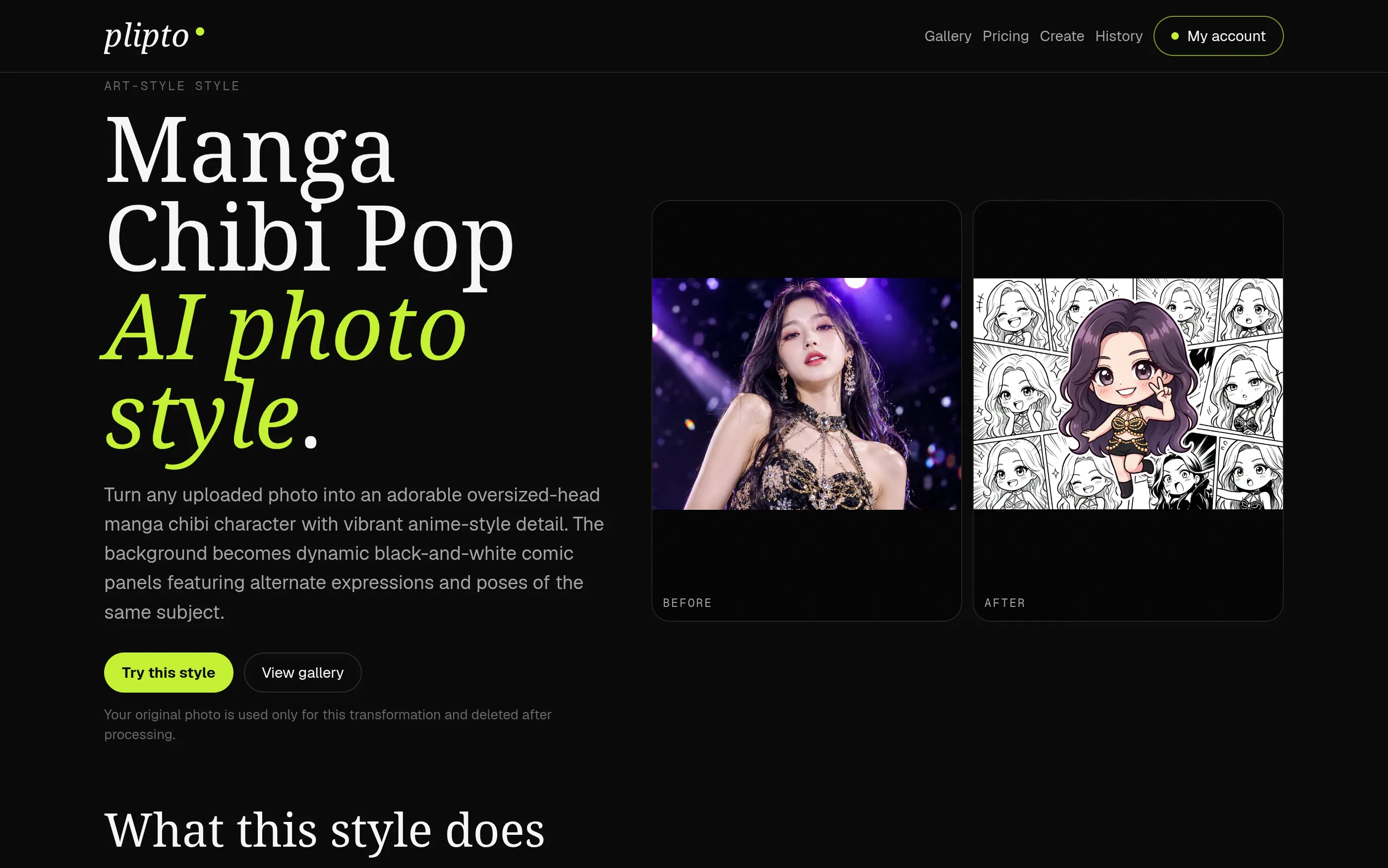 plipto gallery image