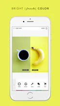 A Color Story gallery image