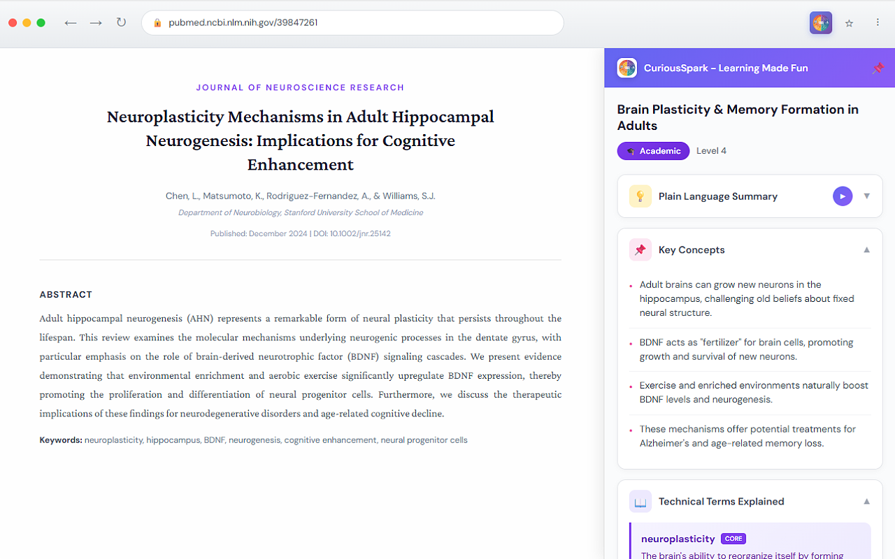 CuriousSpark gallery image