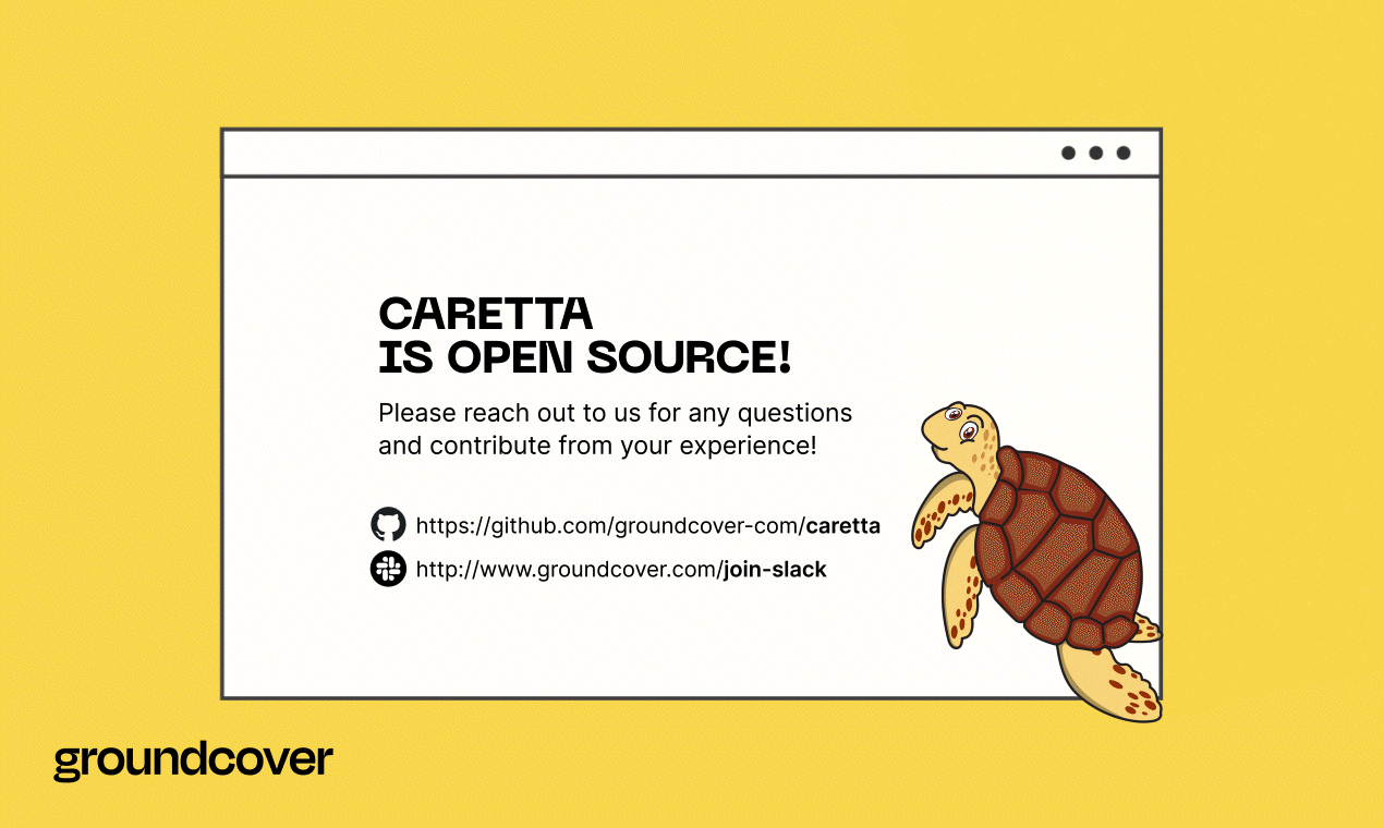Caretta media 6