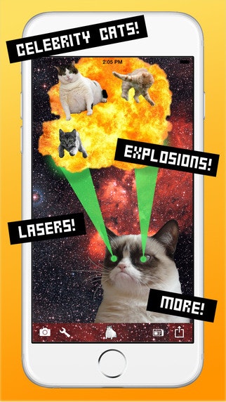 CatPaint gallery image