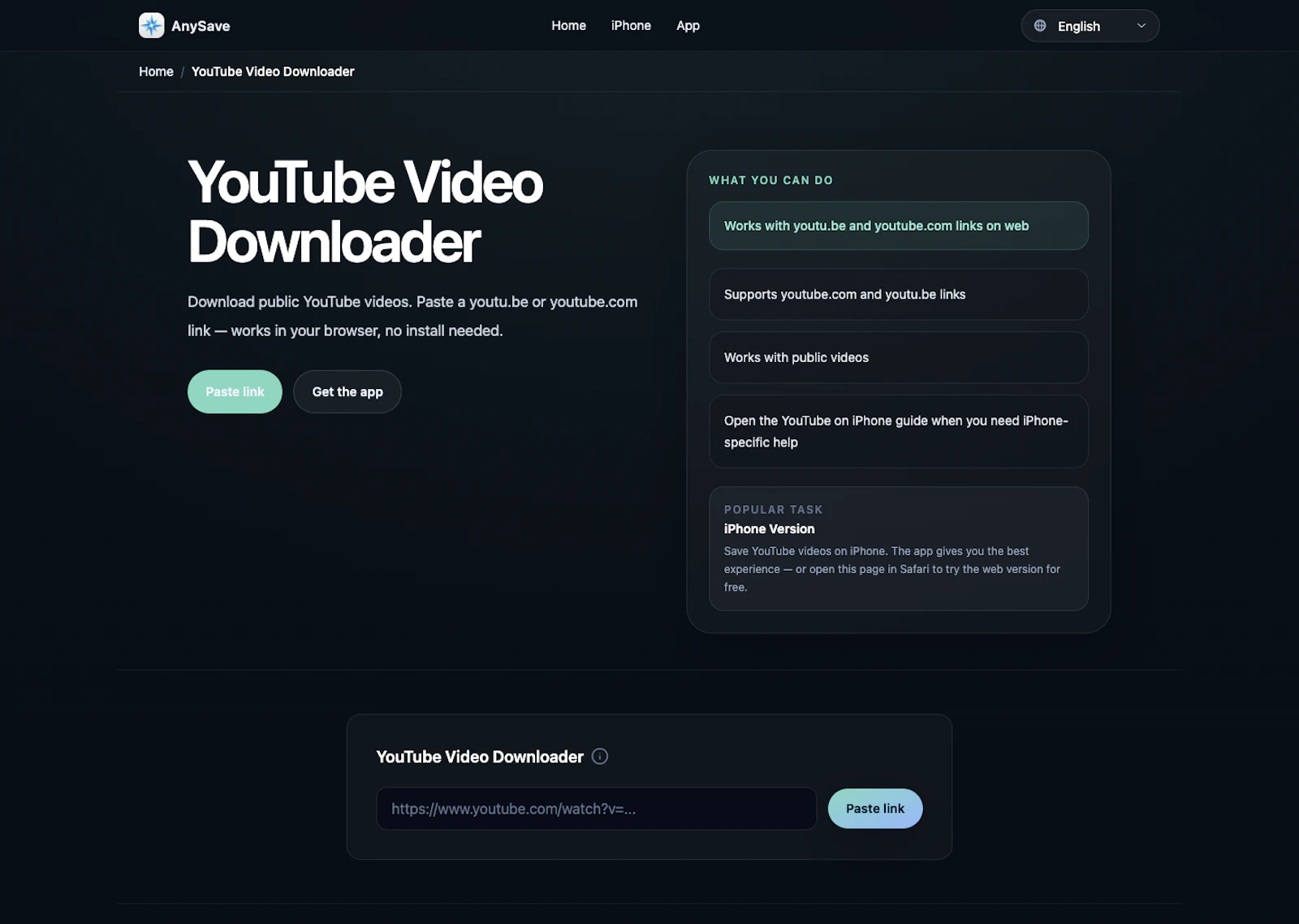 AnySave screenshot 2