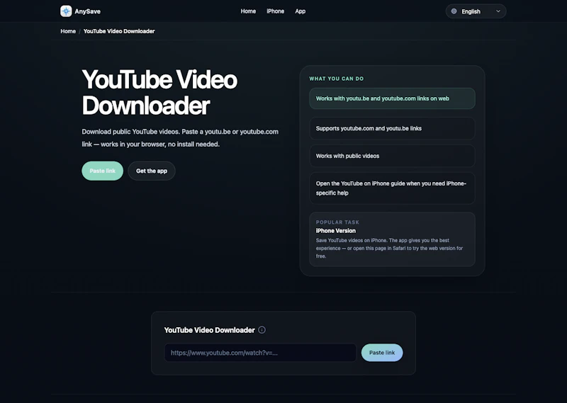 AnySave screenshot 2