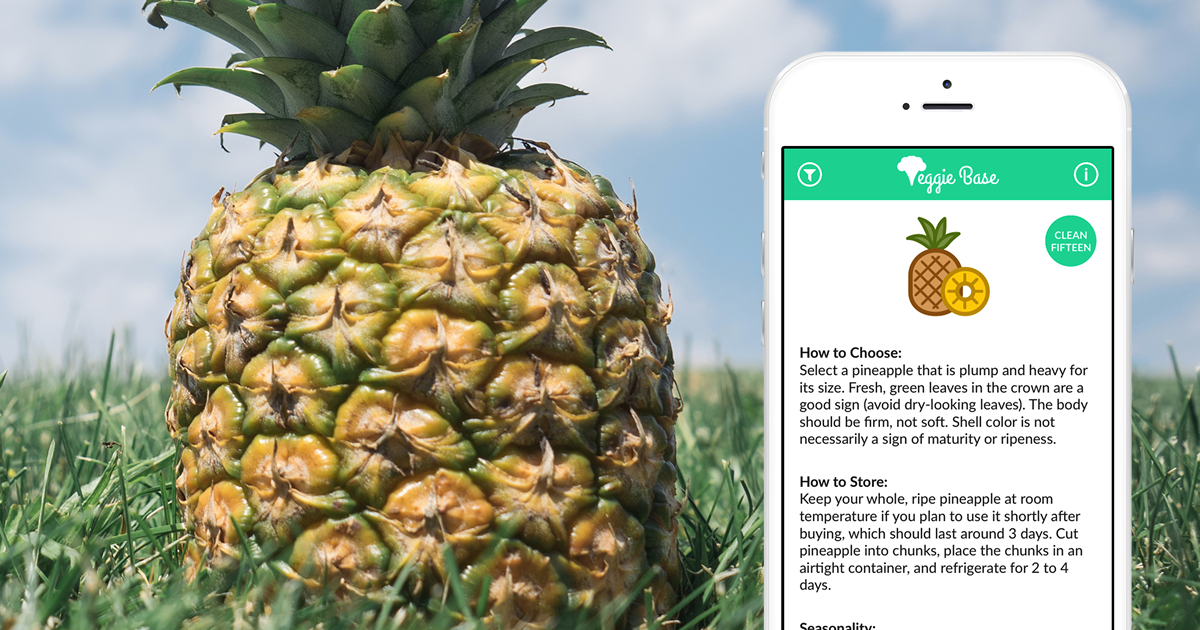 Veggie Base gallery image