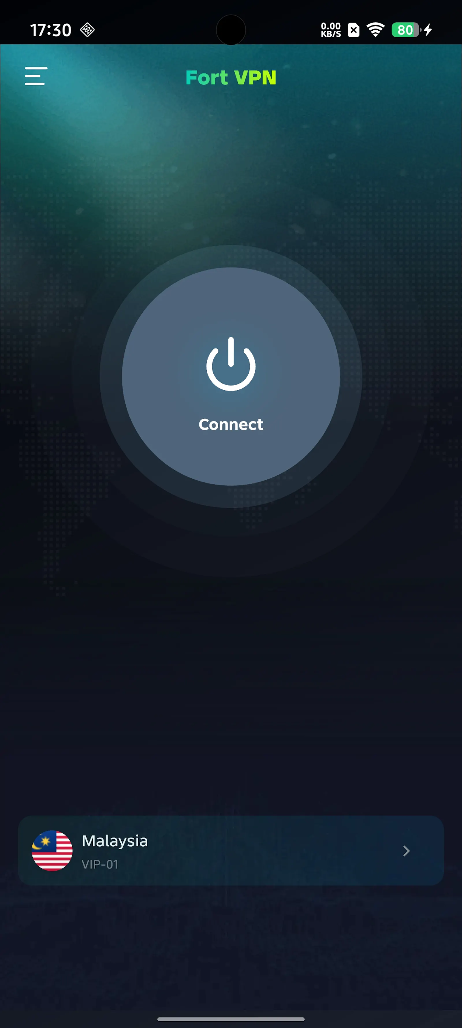 FortVPN screenshot 3