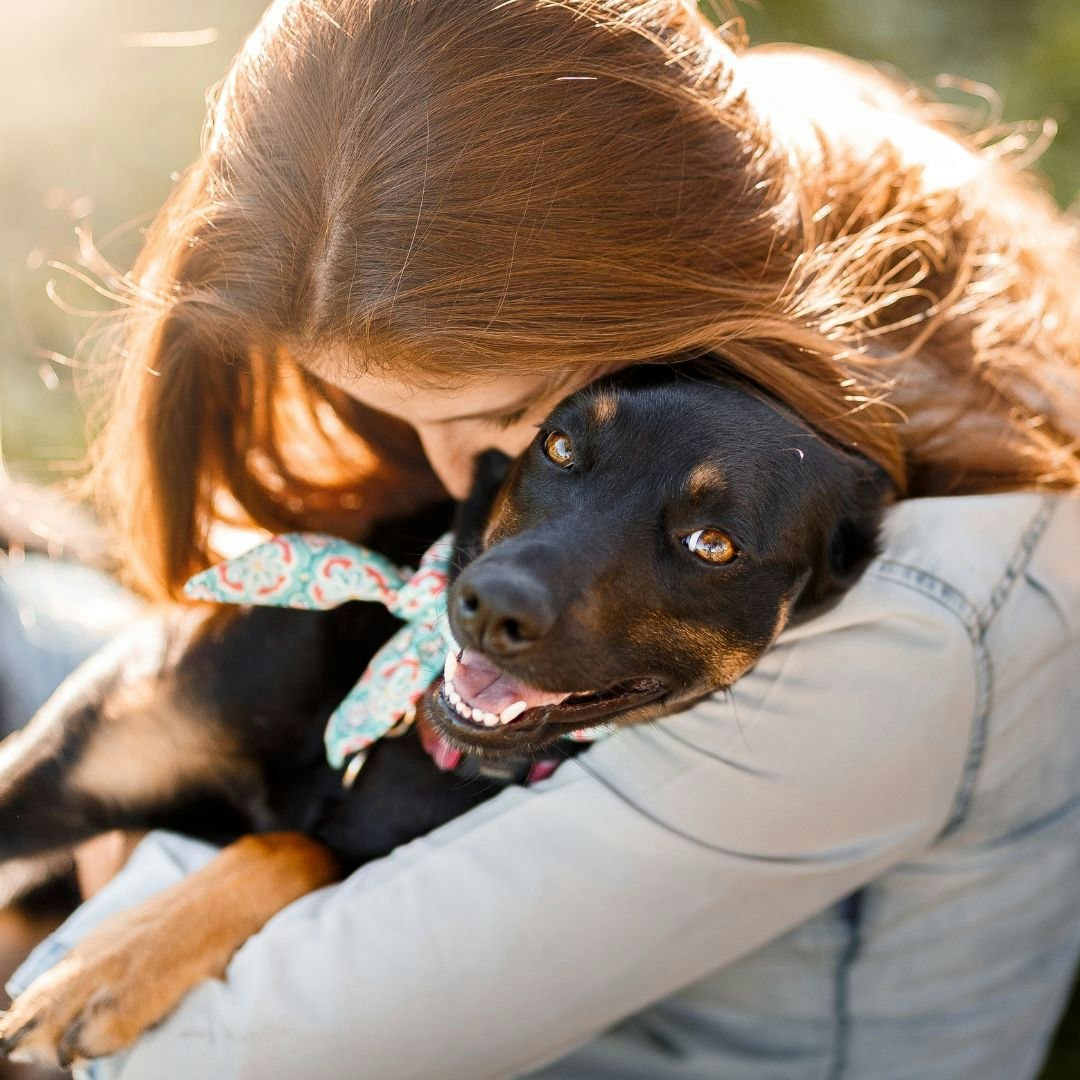 Emotionaler Unterstützungshund